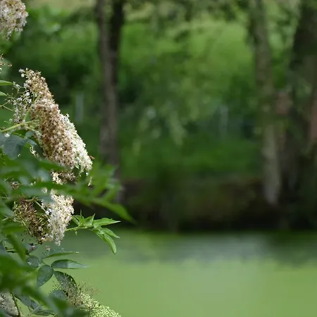 Le Moulin De Charin La Pommeraie-sur-Sèvre